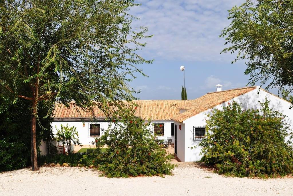 Casa Rural La Linana Кордоба Екстериор снимка