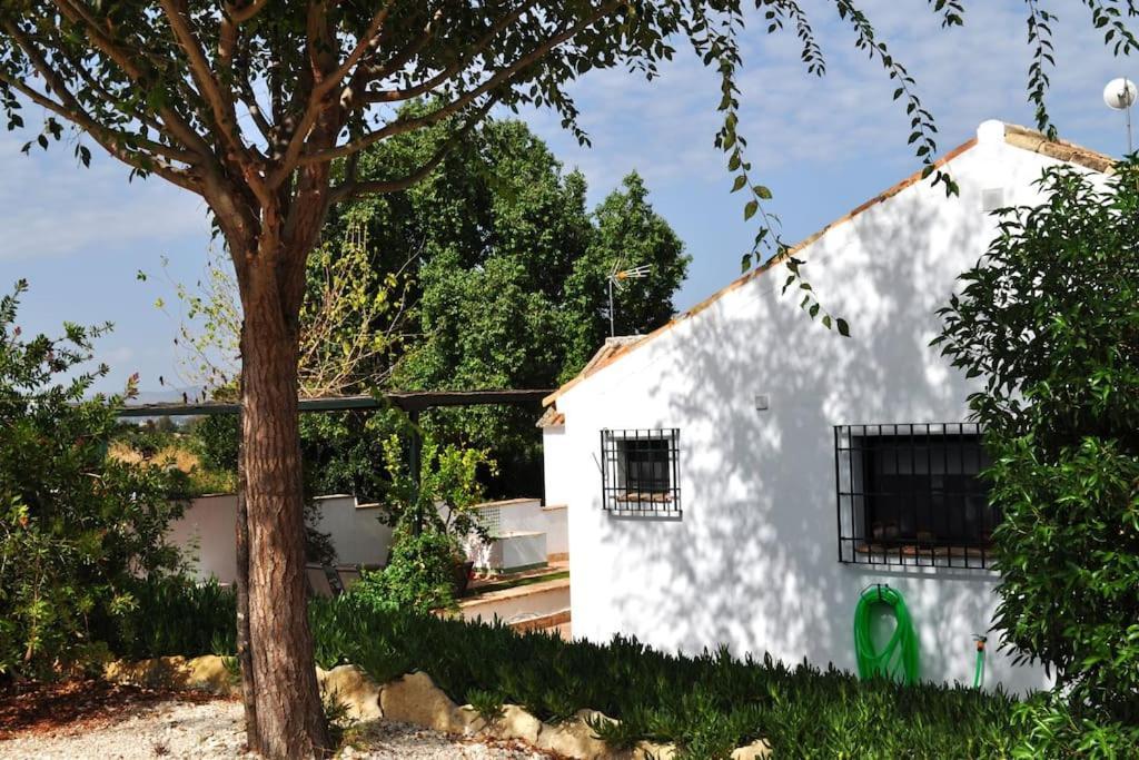 Casa Rural La Linana Кордоба Екстериор снимка